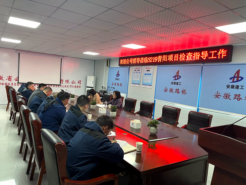 公司黨委委員、紀委書記王鵬到S219青陽改建項目調(diào)研指導(dǎo)工作
